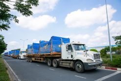 DỊCH VỤ HÀNG DỰ ÁN